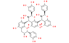 Procyanidin C1 37064-30-5